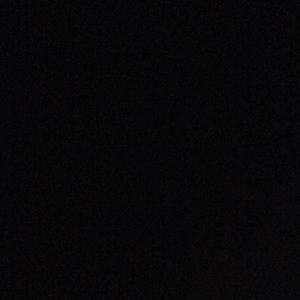 Meet your Posher, Hayden